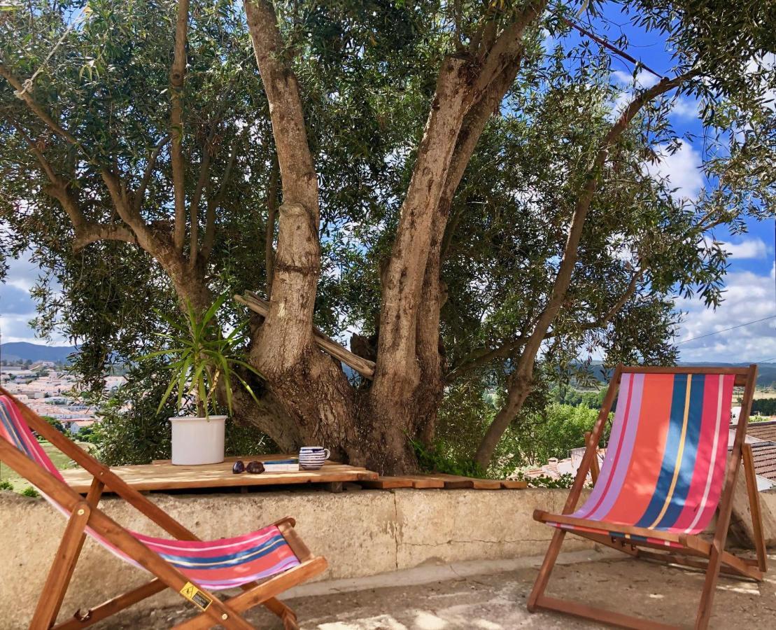 הוילה אלג'זור Casa Anneli - Relaxing Under The Olive Tree מראה חיצוני תמונה