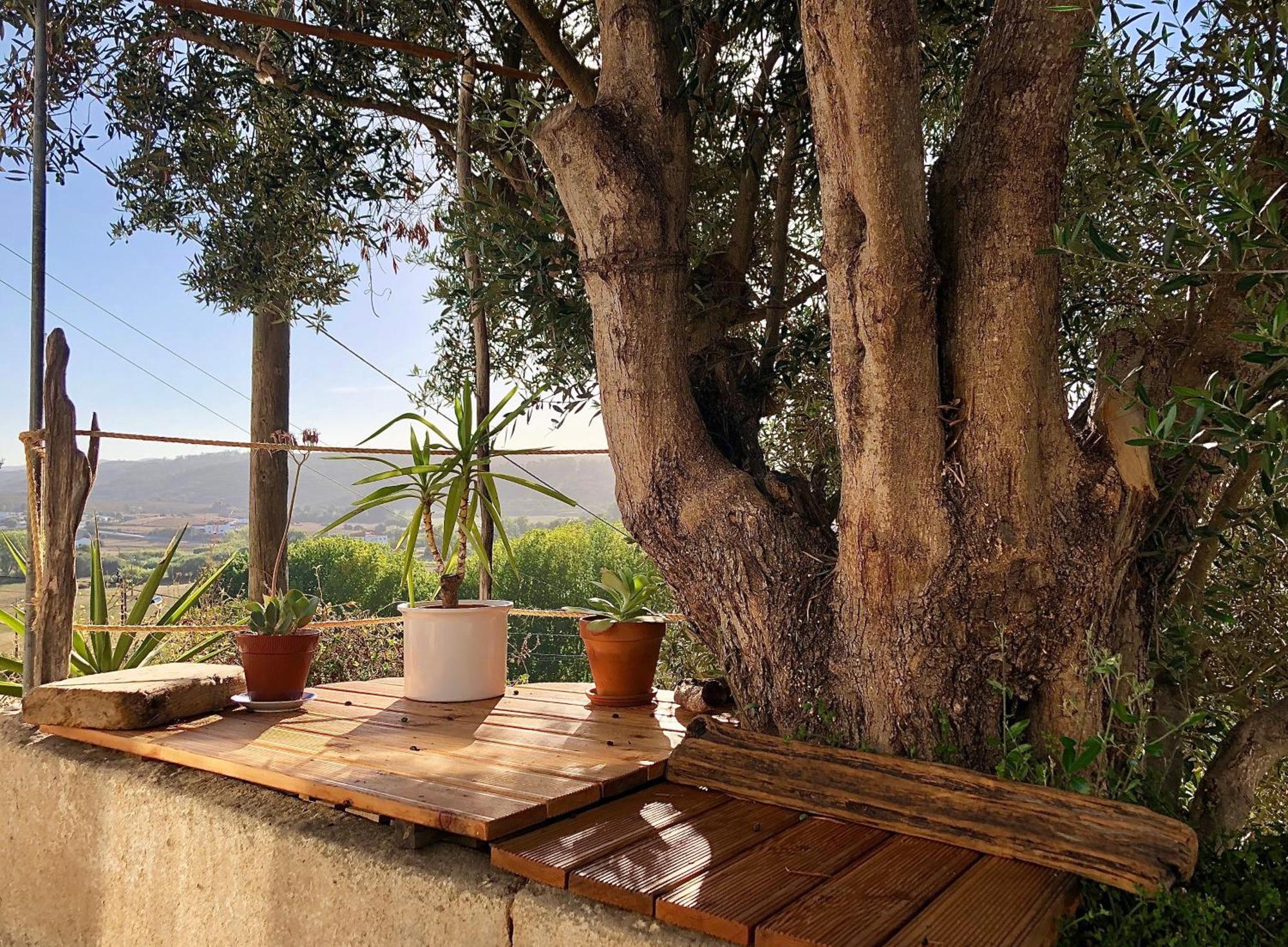 הוילה אלג'זור Casa Anneli - Relaxing Under The Olive Tree מראה חיצוני תמונה